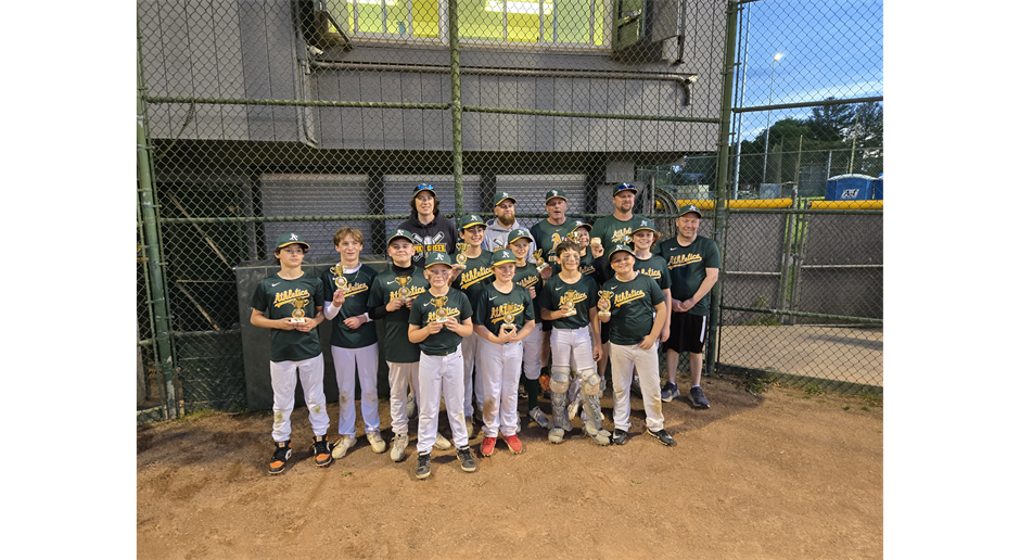 Major A's Win D-BAT Cup
